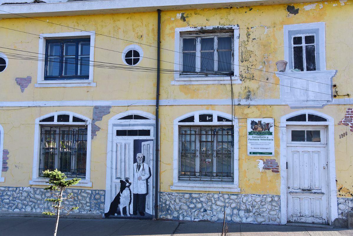 09B Mural Of A Doctor And A Dog At A Door Along Avenida Costanera Waterfront Area Of Punta Arenas Chile